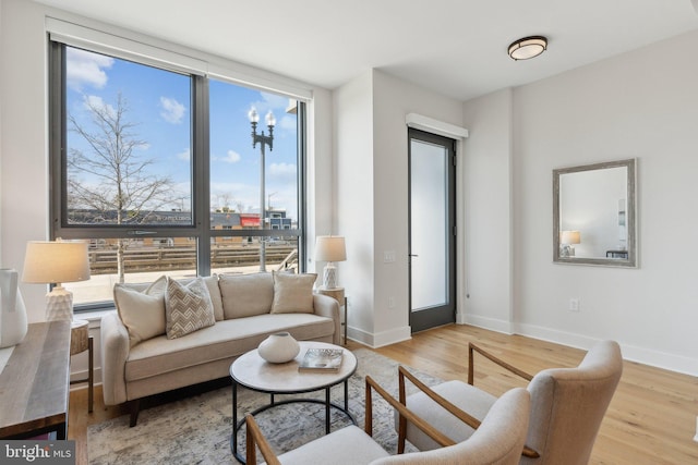 living room featuring a wall of windows and light wood-type flooring