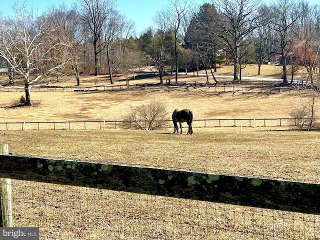 view of yard featuring a rural view and fence