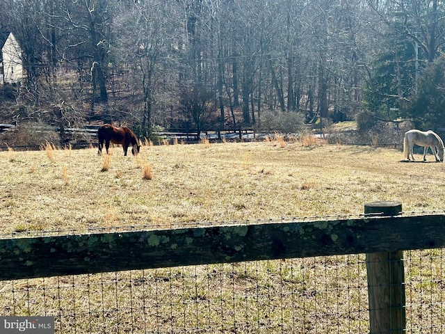 view of yard with a rural view