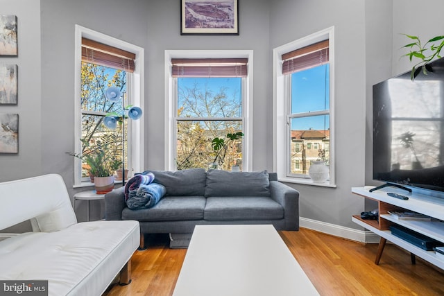 living room featuring hardwood / wood-style flooring