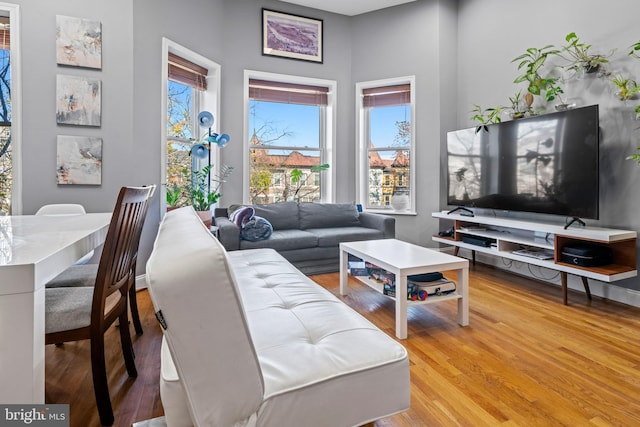 living room with wood-type flooring