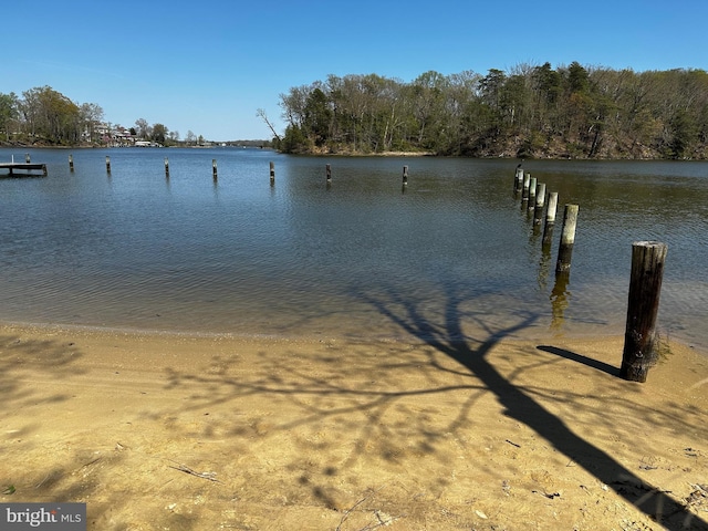 water view featuring a boat dock