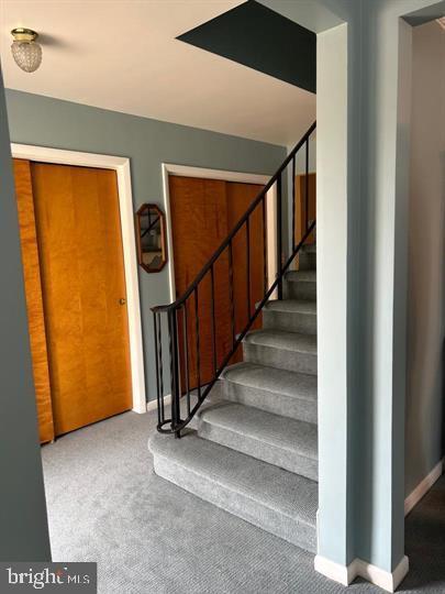 staircase with carpet floors