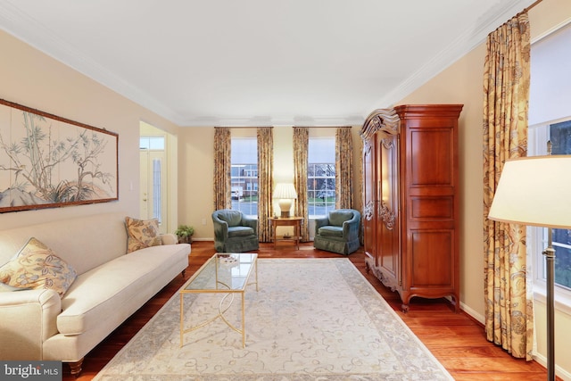 living room with wood-type flooring and ornamental molding