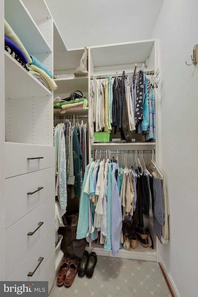 spacious closet with carpet flooring