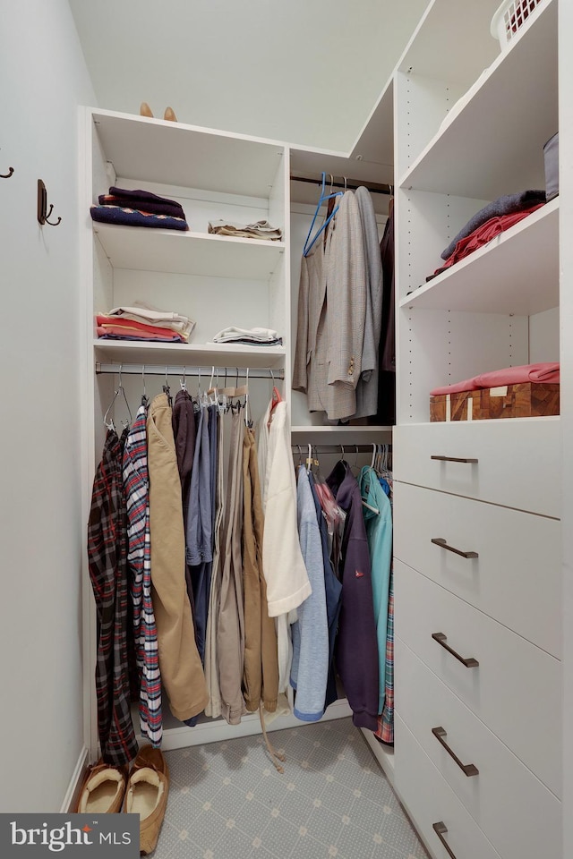 spacious closet with carpet flooring