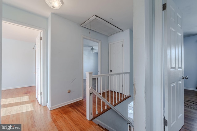 hall with light wood-type flooring