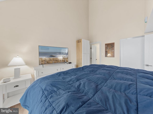 bedroom featuring a high ceiling