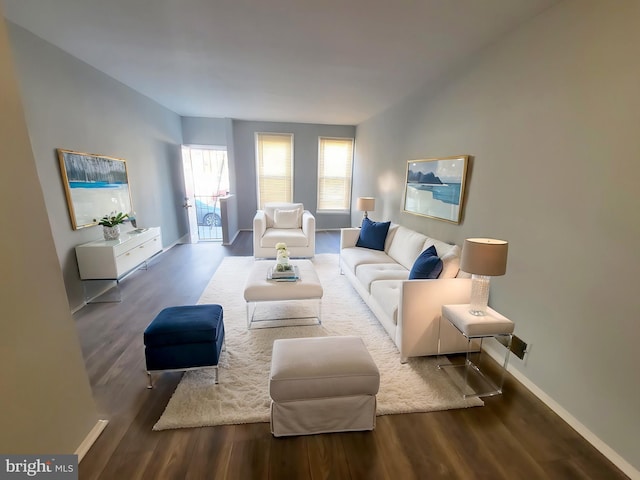 living room with hardwood / wood-style floors