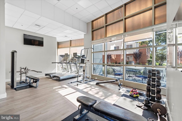 105 Christina Landing Dr Unit 905, Wilmington, DE 19801 - gym featuring a healthy amount of sunlight, light hardwood / wood-style flooring, and a drop ceiling