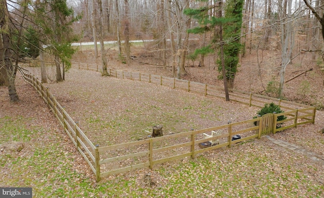 view of yard with a rural view