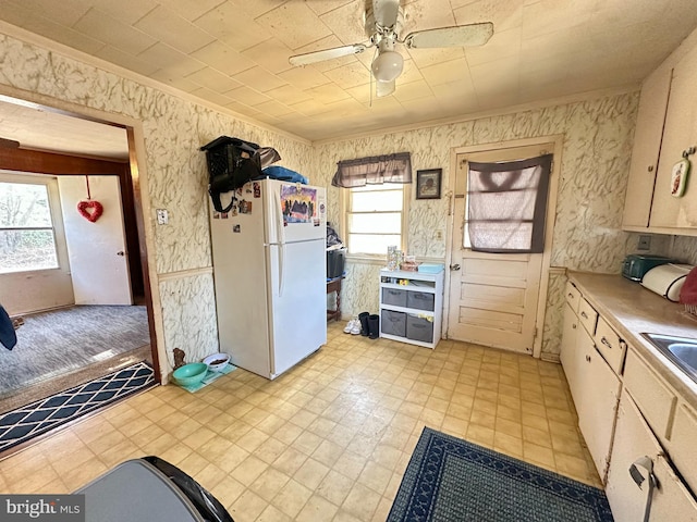 kitchen with sink, crown molding, ceiling fan, and white refrigerator