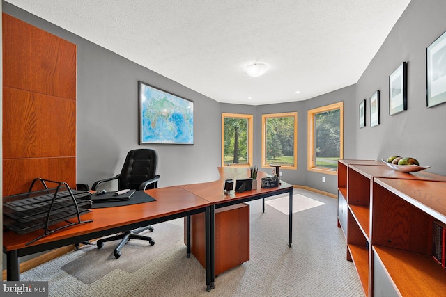 carpeted home office with a textured ceiling