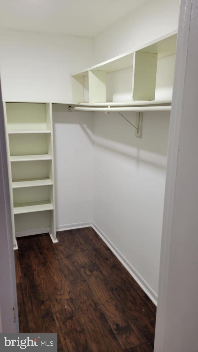 walk in closet featuring dark hardwood / wood-style floors