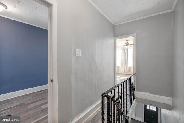 hallway featuring ornamental molding and dark hardwood / wood-style flooring