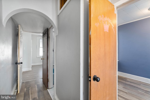 hall with ornamental molding and wood-type flooring