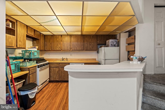 kitchen with a paneled ceiling, sink, hardwood / wood-style flooring, kitchen peninsula, and white appliances