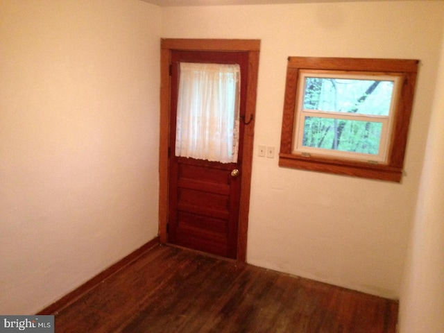 doorway featuring wood-type flooring