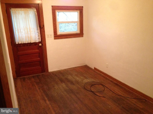 entryway featuring wood-type flooring