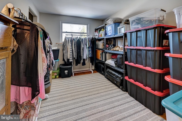 walk in closet with wood-type flooring