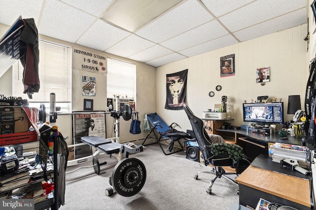 office space with a paneled ceiling and carpet flooring