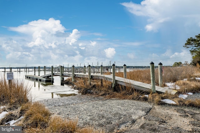 dock area with a water view