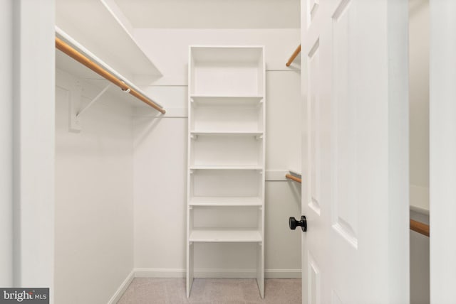 walk in closet with light colored carpet