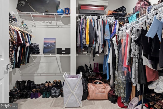 spacious closet featuring carpet floors