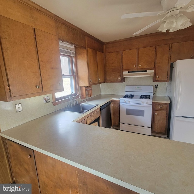 kitchen with under cabinet range hood, white appliances, a sink, light countertops, and brown cabinetry