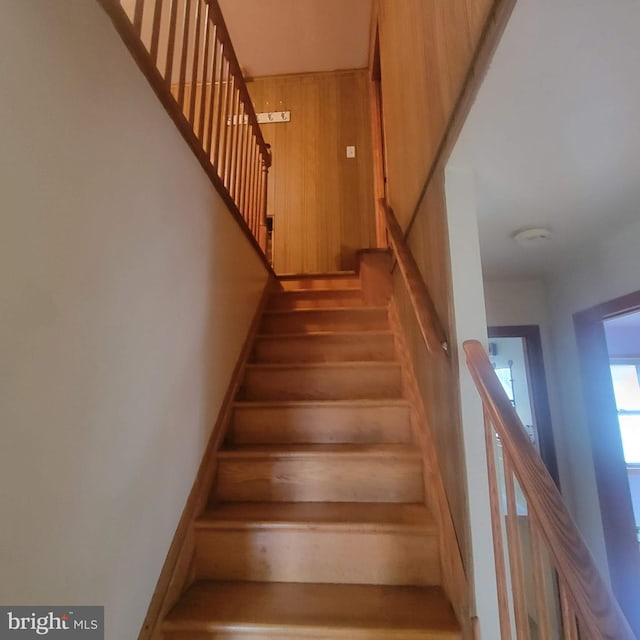 staircase with wood walls