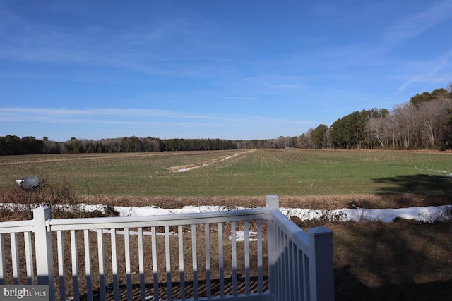 view of yard with a rural view