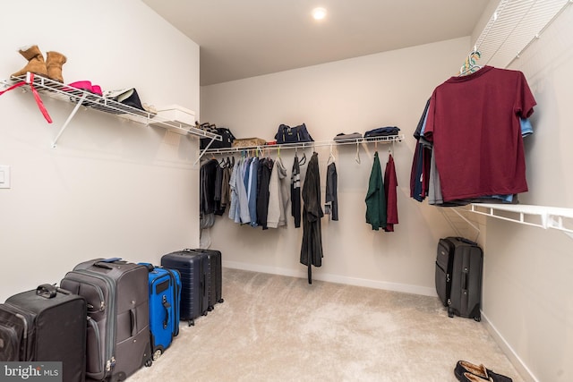 walk in closet featuring light carpet