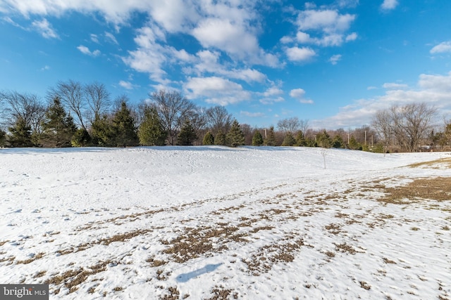 view of yard layered in snow