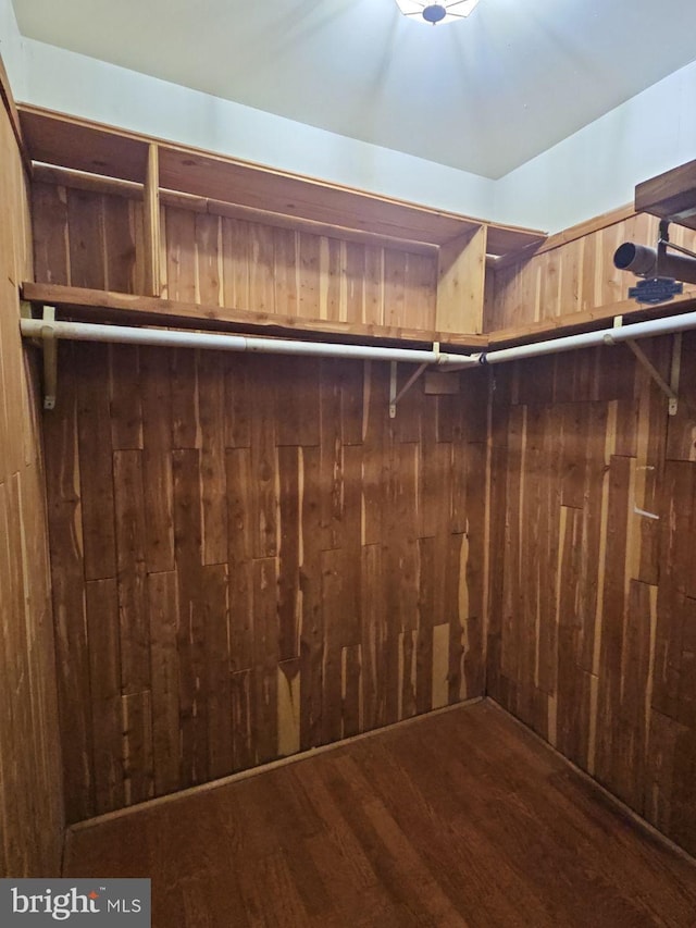 walk in closet with hardwood / wood-style floors