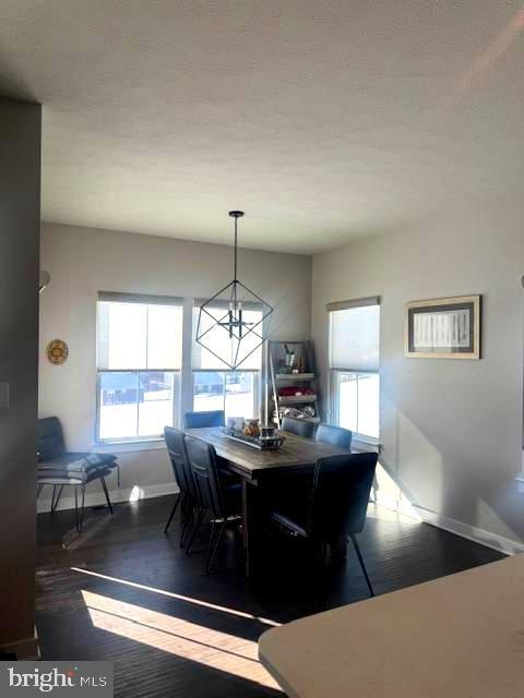 dining space with dark hardwood / wood-style flooring