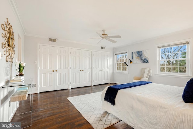 bedroom featuring multiple closets, ceiling fan, dark hardwood / wood-style flooring, and crown molding