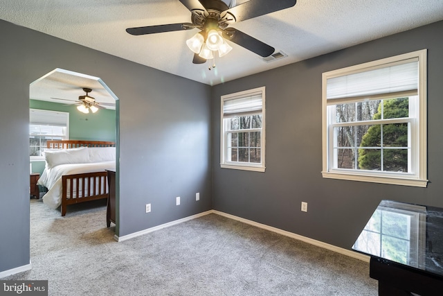 unfurnished bedroom with multiple windows, light carpet, and a textured ceiling