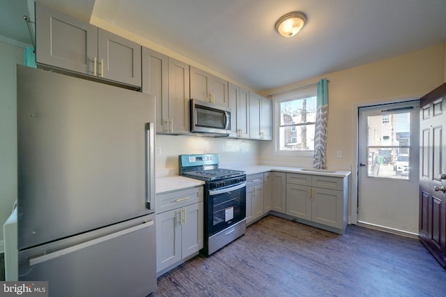 kitchen featuring stainless steel appliances, dark hardwood / wood-style flooring, sink, and gray cabinetry