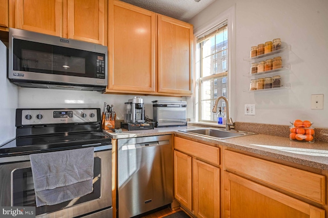 kitchen with stainless steel appliances and sink