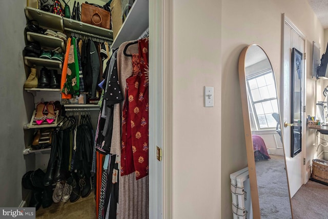 spacious closet featuring carpet