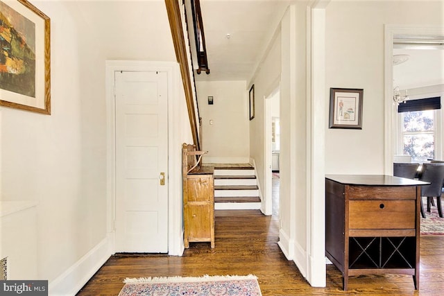 corridor with dark wood-type flooring