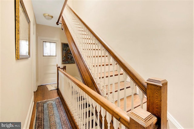 stairs with wood-type flooring