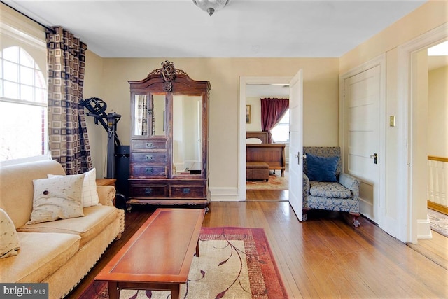 living room with wood-type flooring