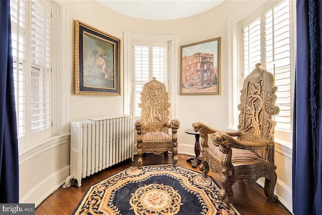 sitting room featuring radiator and dark wood-type flooring