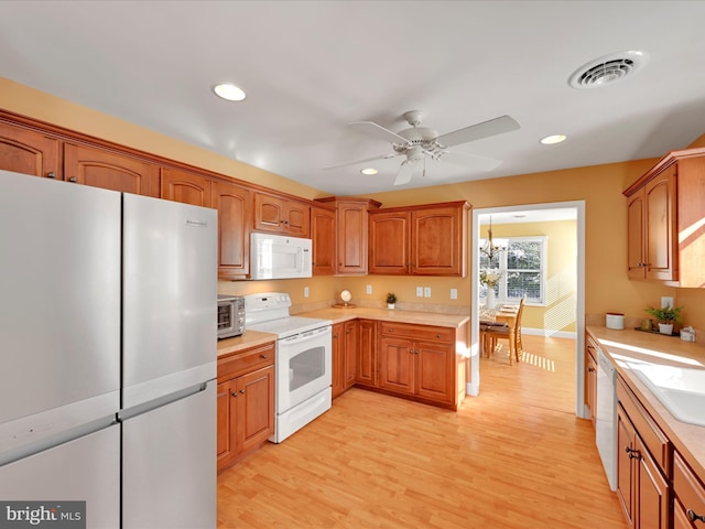 kitchen with ceiling fan, appliances with stainless steel finishes, and light wood-type flooring