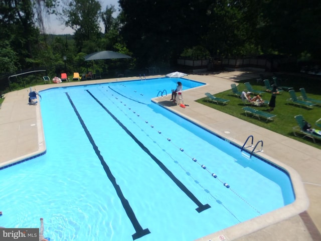 view of swimming pool with a yard and a patio