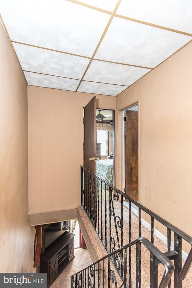 hallway with carpet flooring