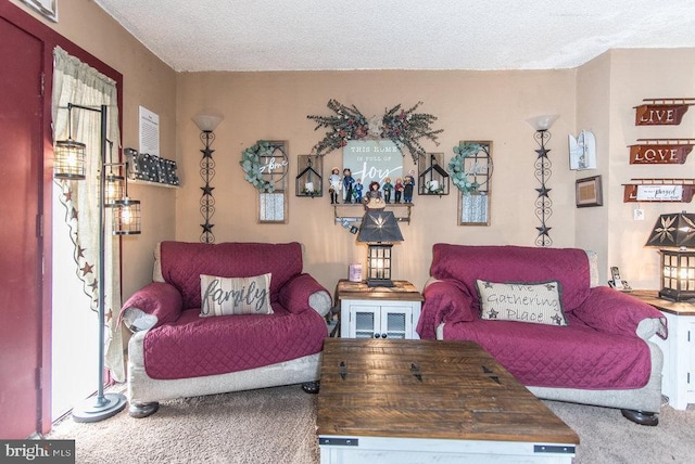 living room featuring carpet floors and a textured ceiling