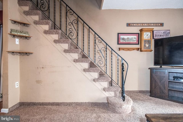 stairway featuring carpet flooring