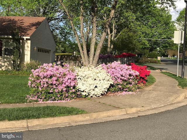 view of yard with a garage